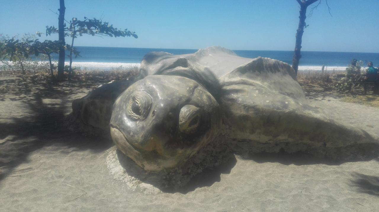 Las Cabinas De Veronique Venado Ngoại thất bức ảnh
